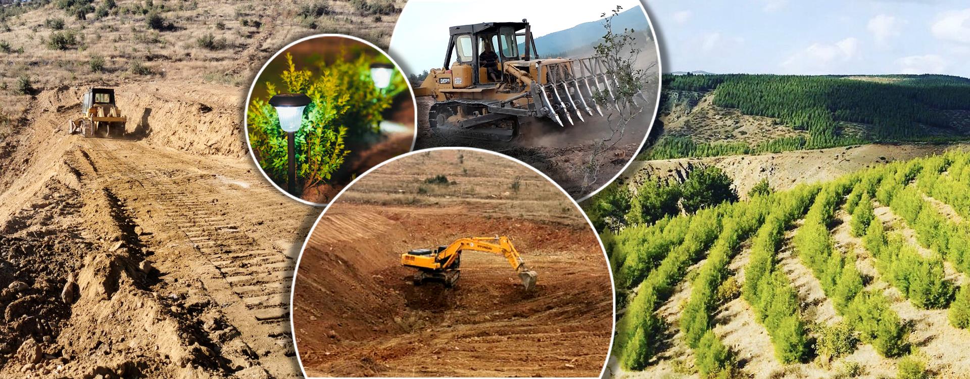 Doka Ormancılık